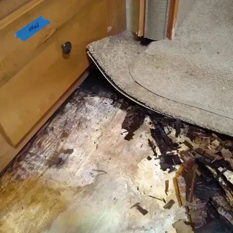 Wood Floor Water Damage in Monroe North, WA